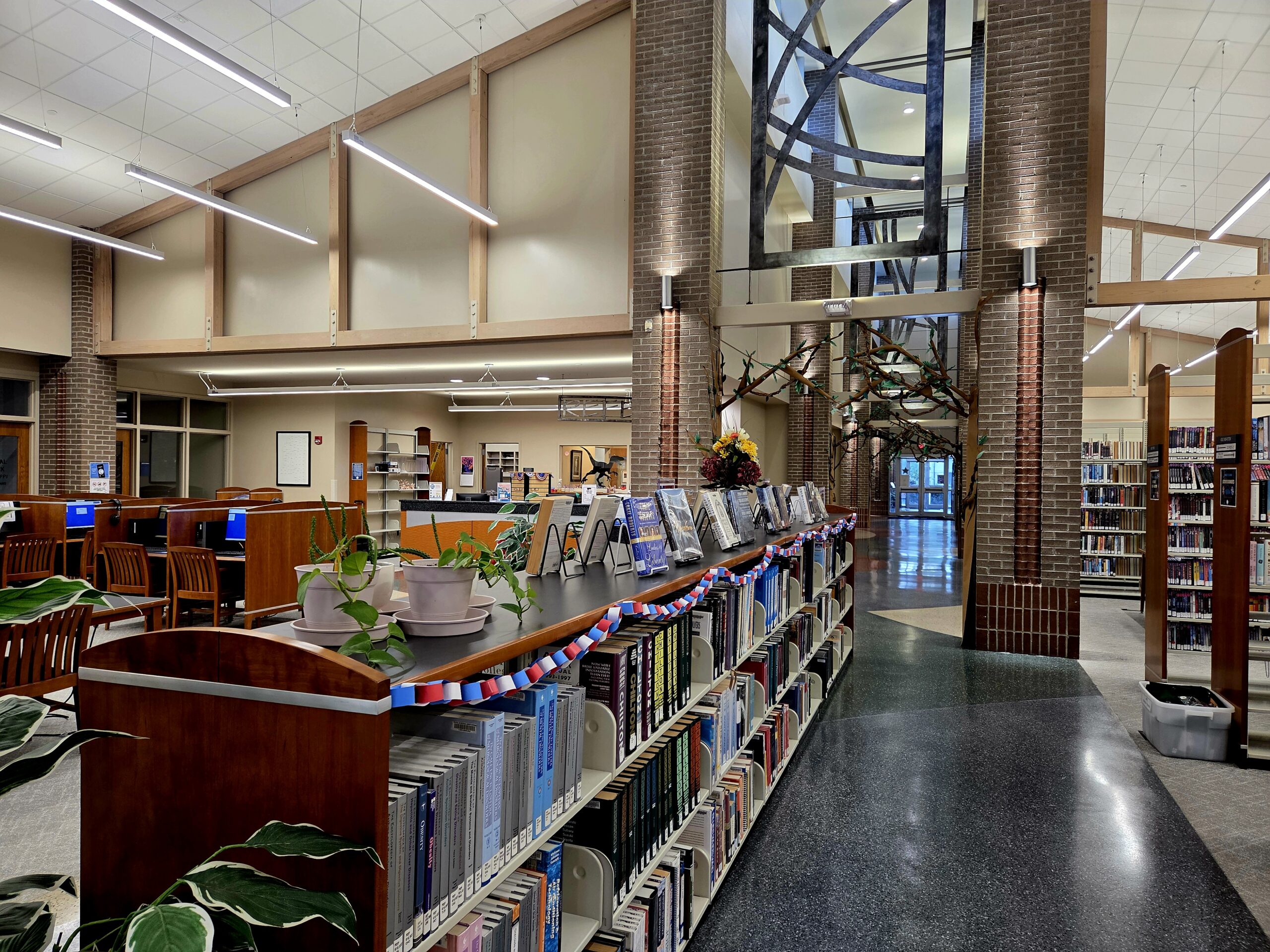 Patrons learning and connecting at a CMRLS library
